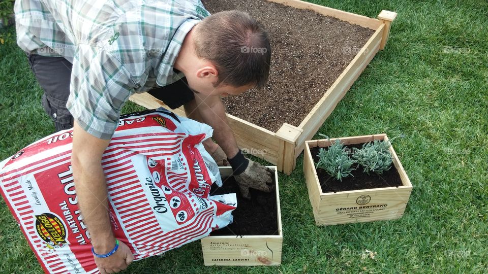 box gardens. above ground planters in a 4x4 cedar set and repurposed wine boxes