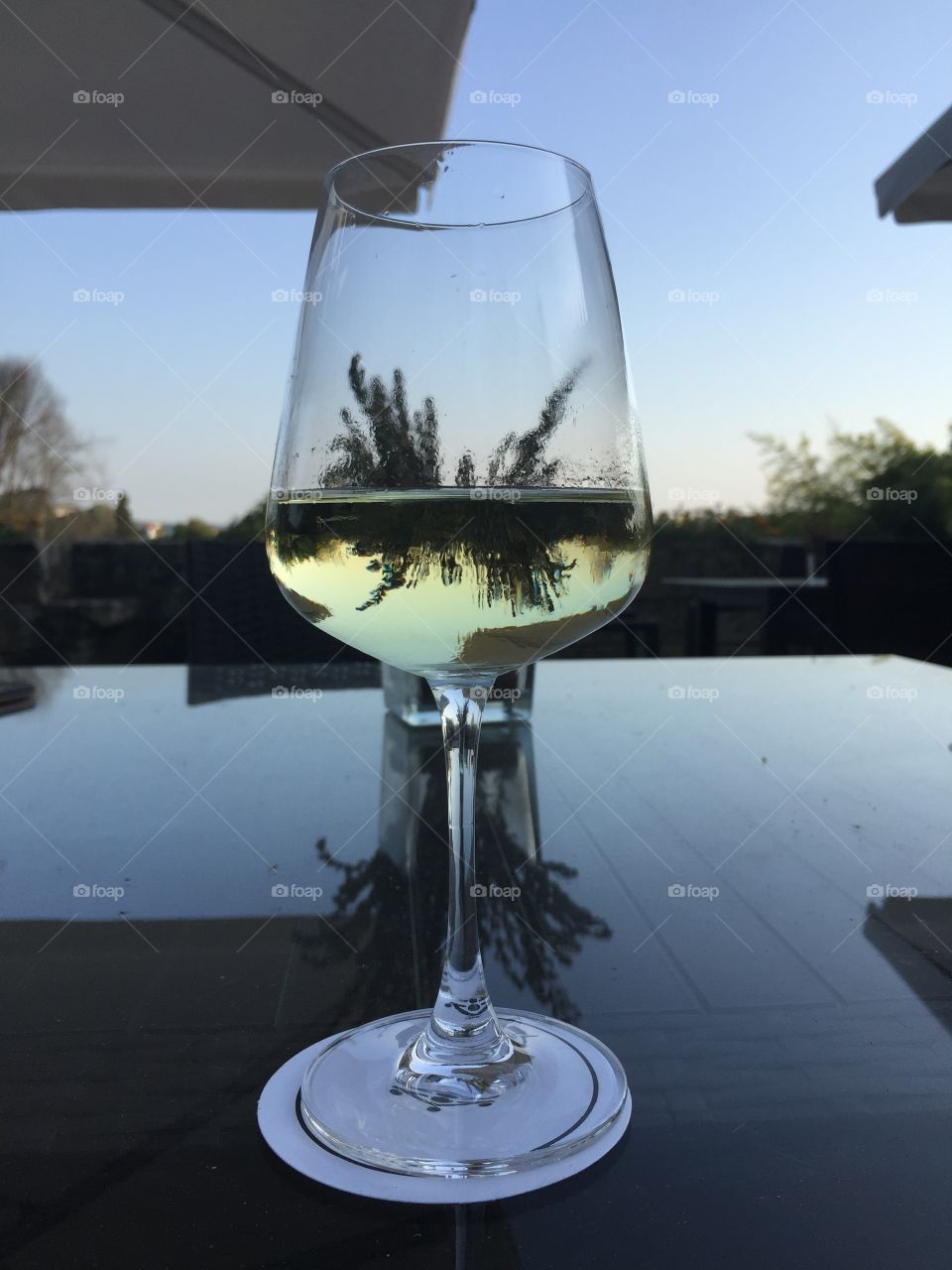 Trees reflected on wineglass