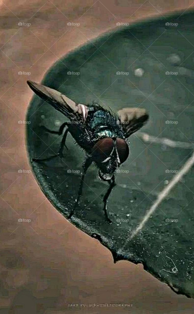 A most beautiful and attractive view in the garden.