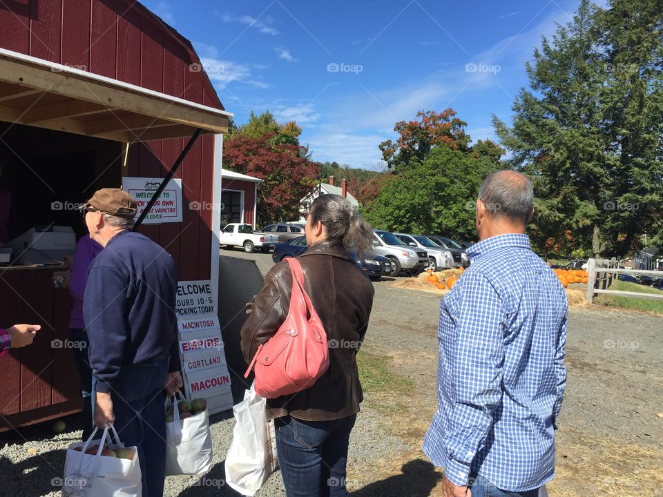 Apple Orchard Purchase