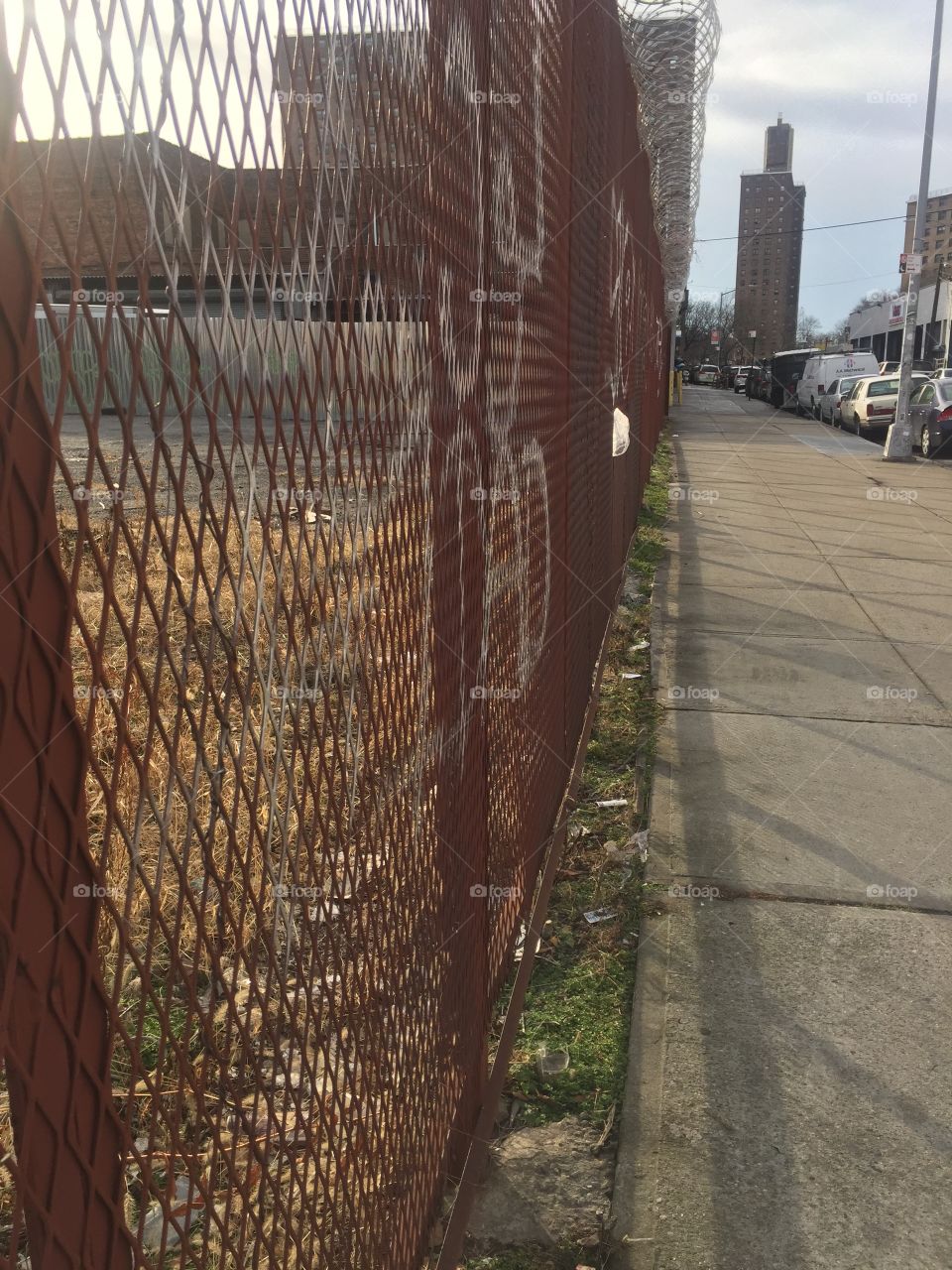 Brooklyn Fences