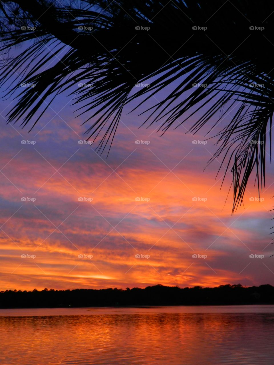 Awesome Beaches: Beautiful sunset sky! The scores of beaches beckon visitors and locals with promises of emerald waters,brilliant white sand, picturesque sand dunes with waving sea oats, excellent nature hikes,and ample bird watching! Protected turtles lay eggs here and dolphins can be seen in the bay! 