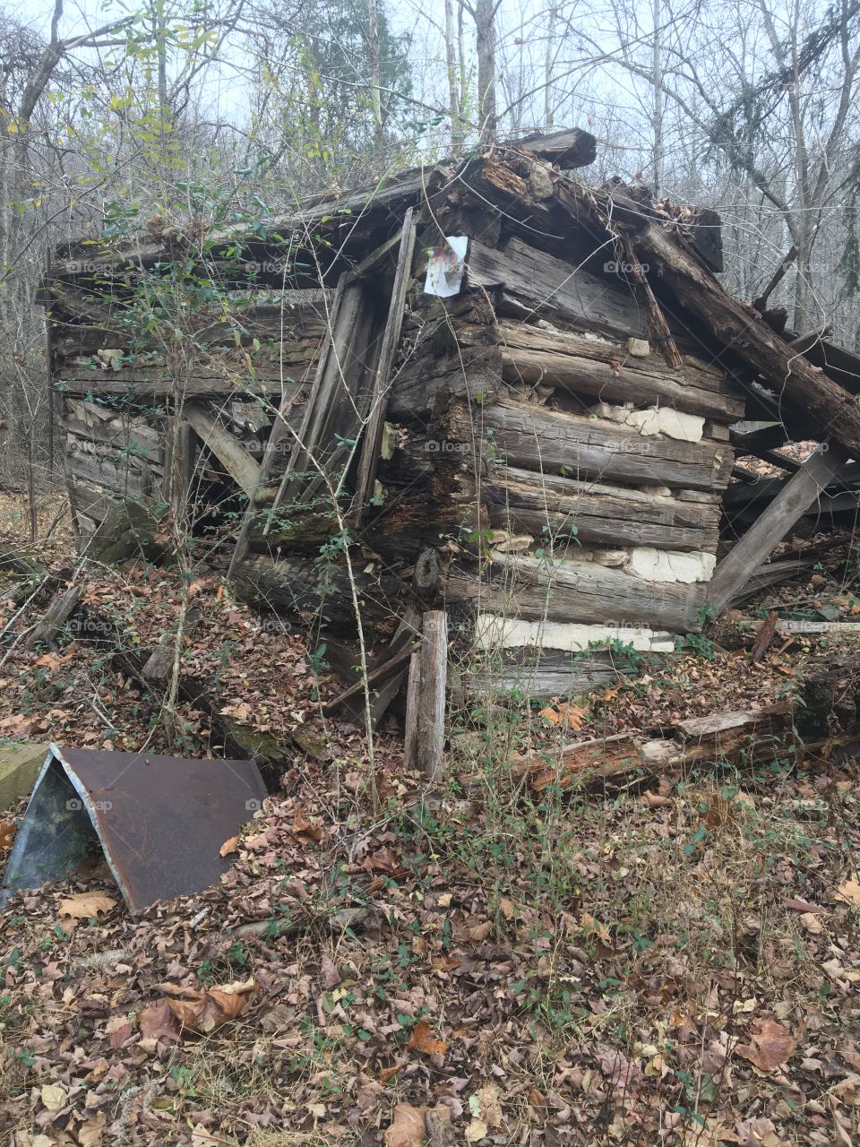Old, rustic cabin
