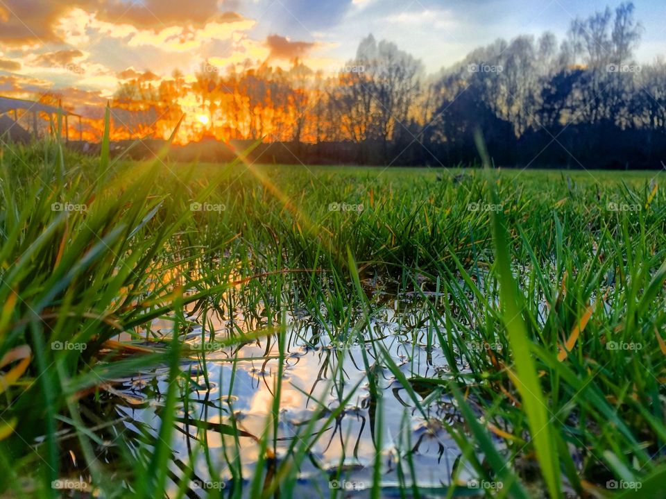 Wet sunset