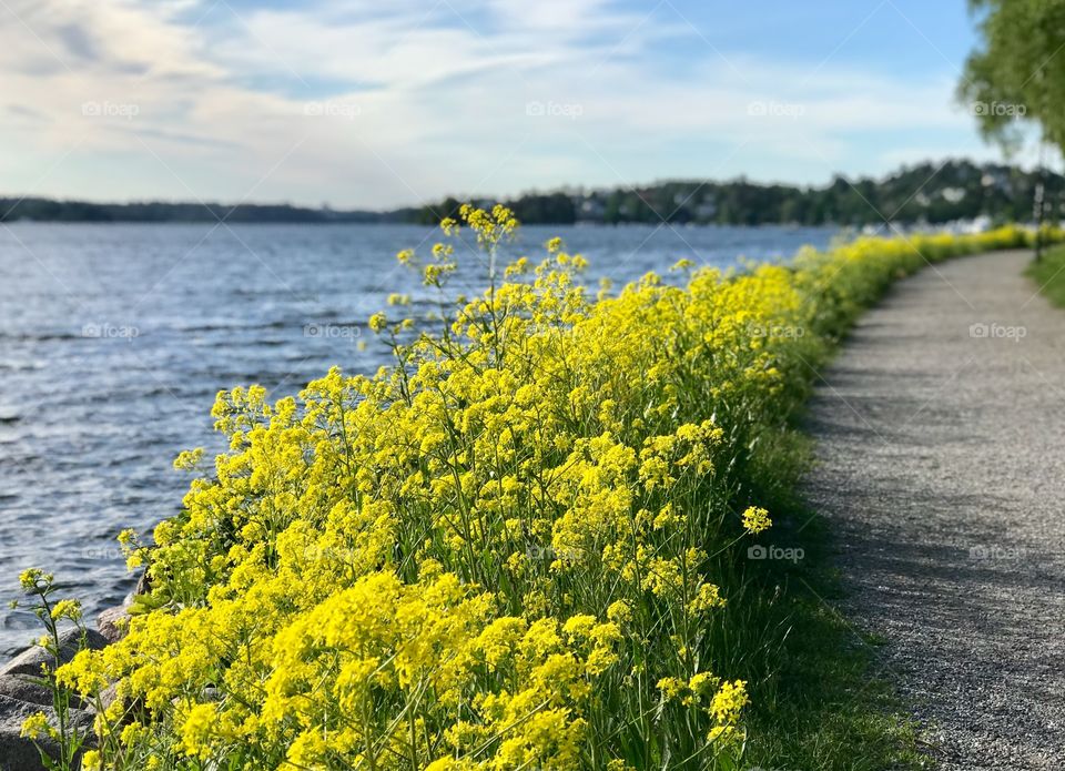 Beach road