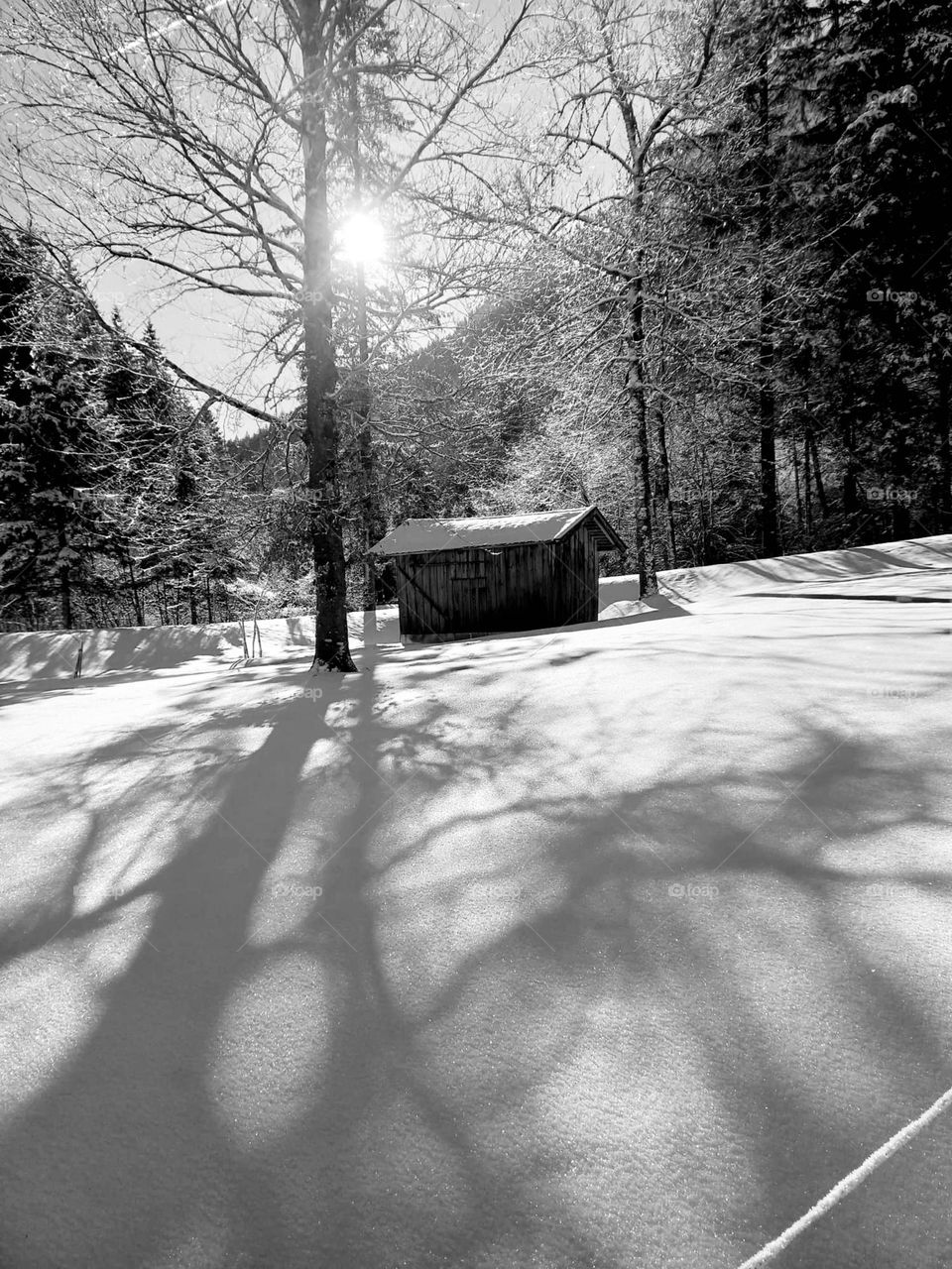 Hut in the Snowy Mountains