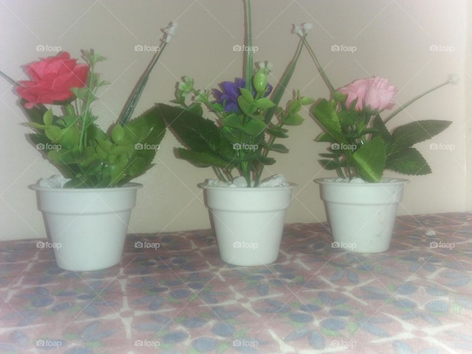 Flowers in vases