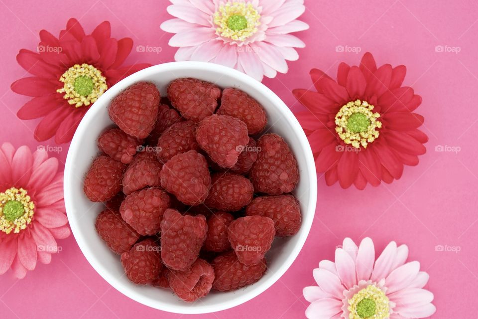 Flat lay of raspberries and gerbera daisies in various shades of pink in a pink background