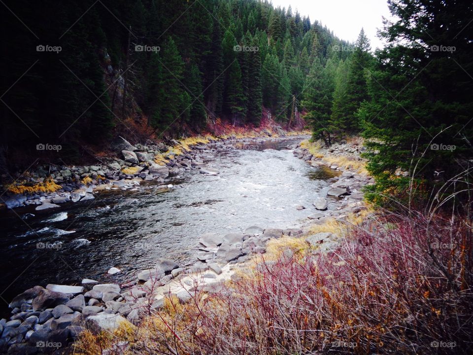 Payette River in the fall