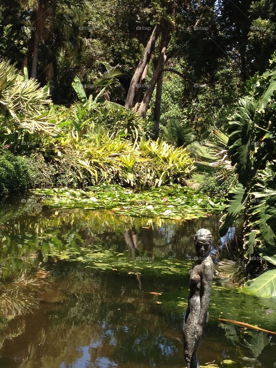 garden pond jungle palms by havenner