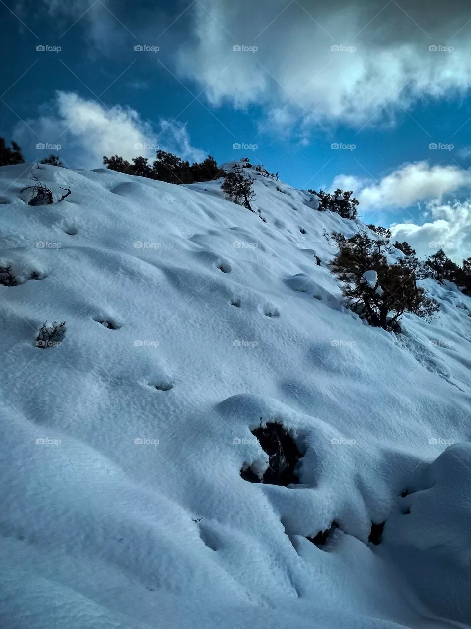 showy mountain View