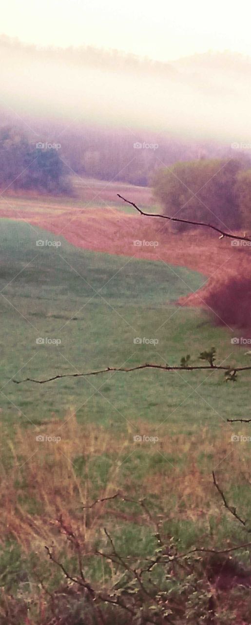 Fog rising early morning.