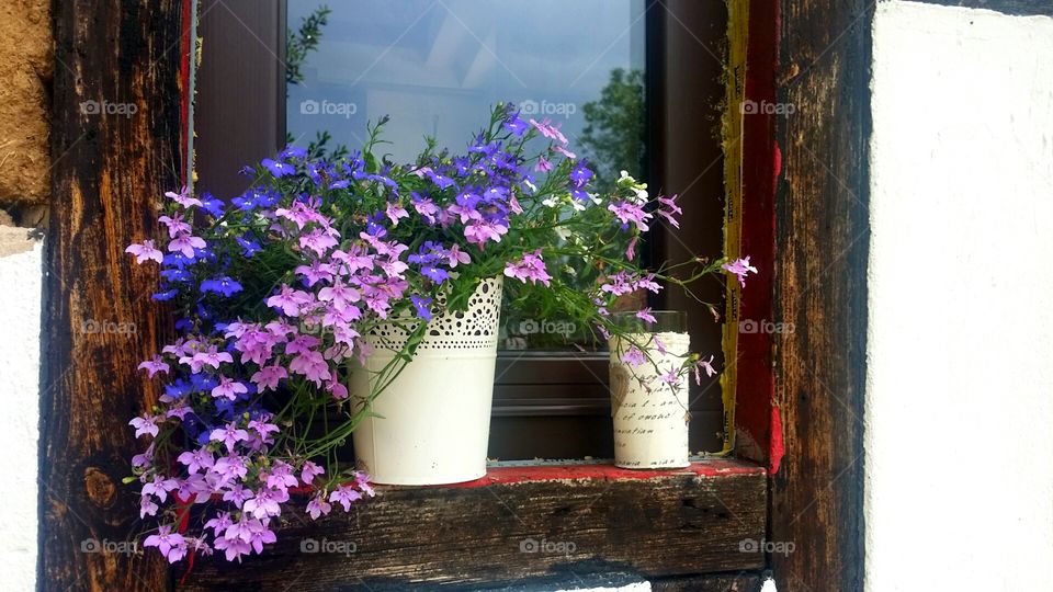 Pretty window arrangement