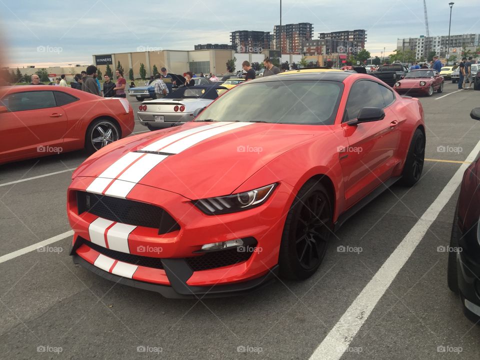 Ford mustang shelby gt350