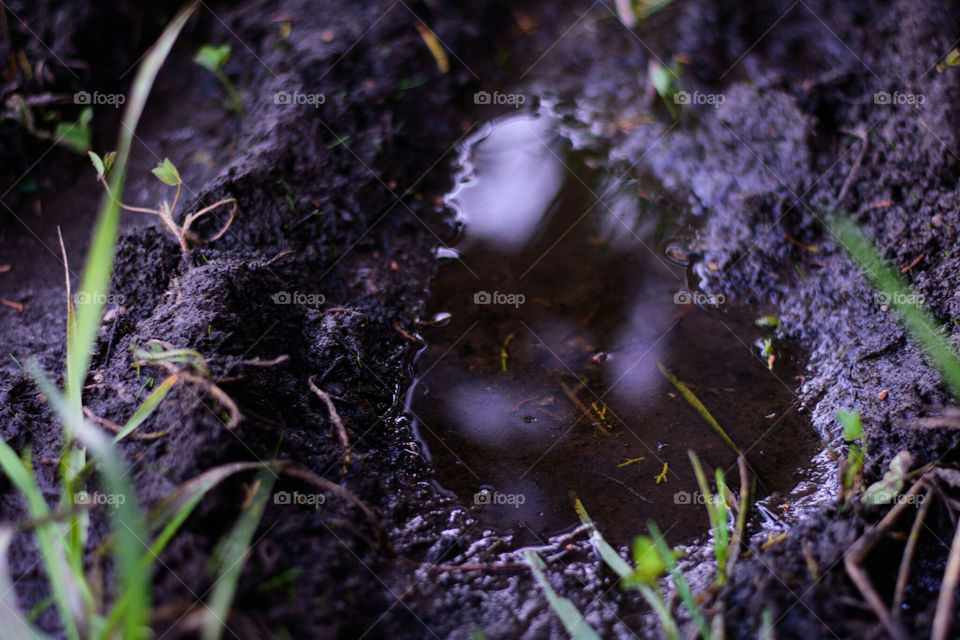 footprint in the mud