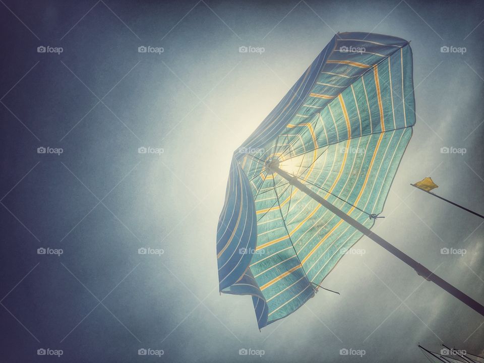 Umbrella 