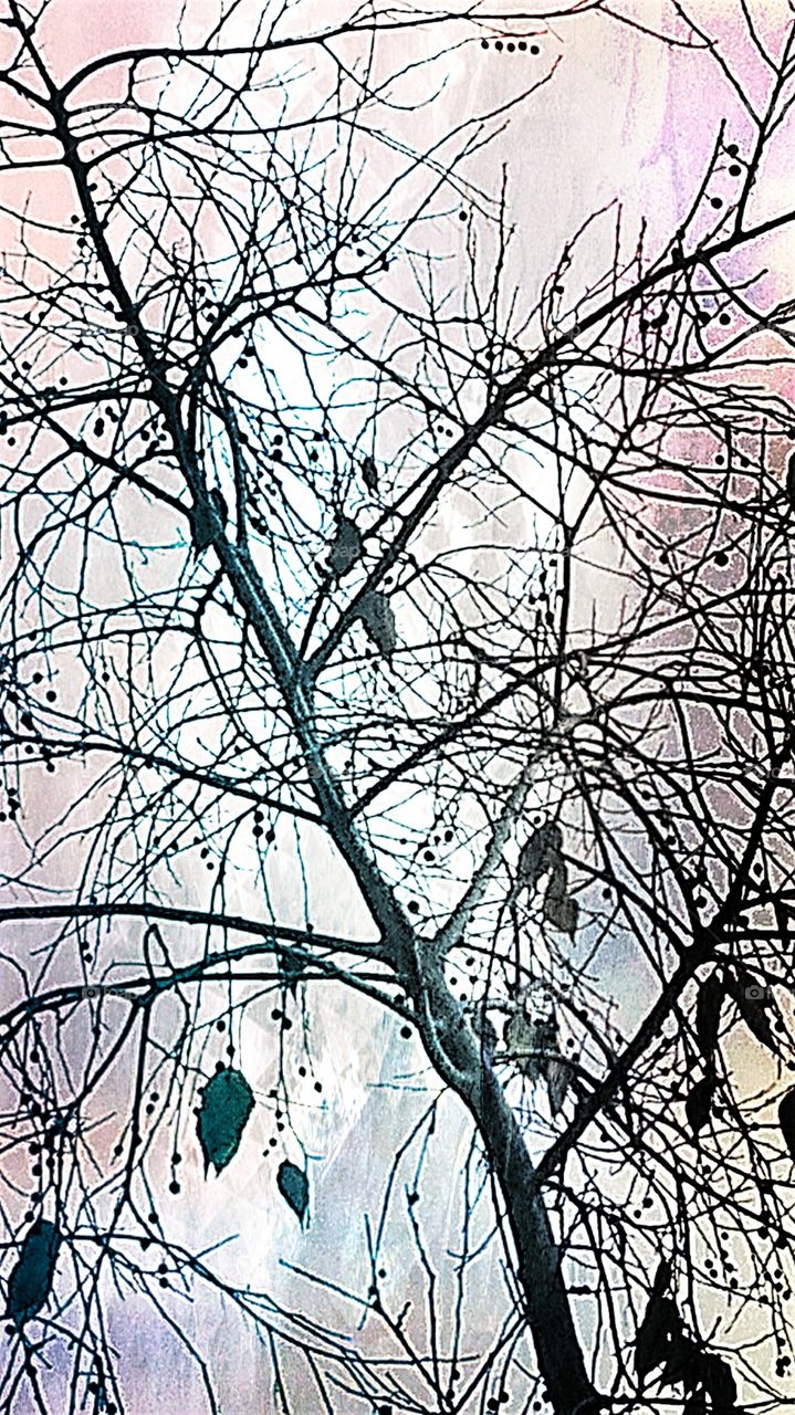 los efectos del otoño