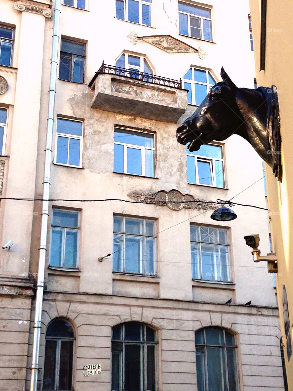 Vet clinic with nice horses on the walls