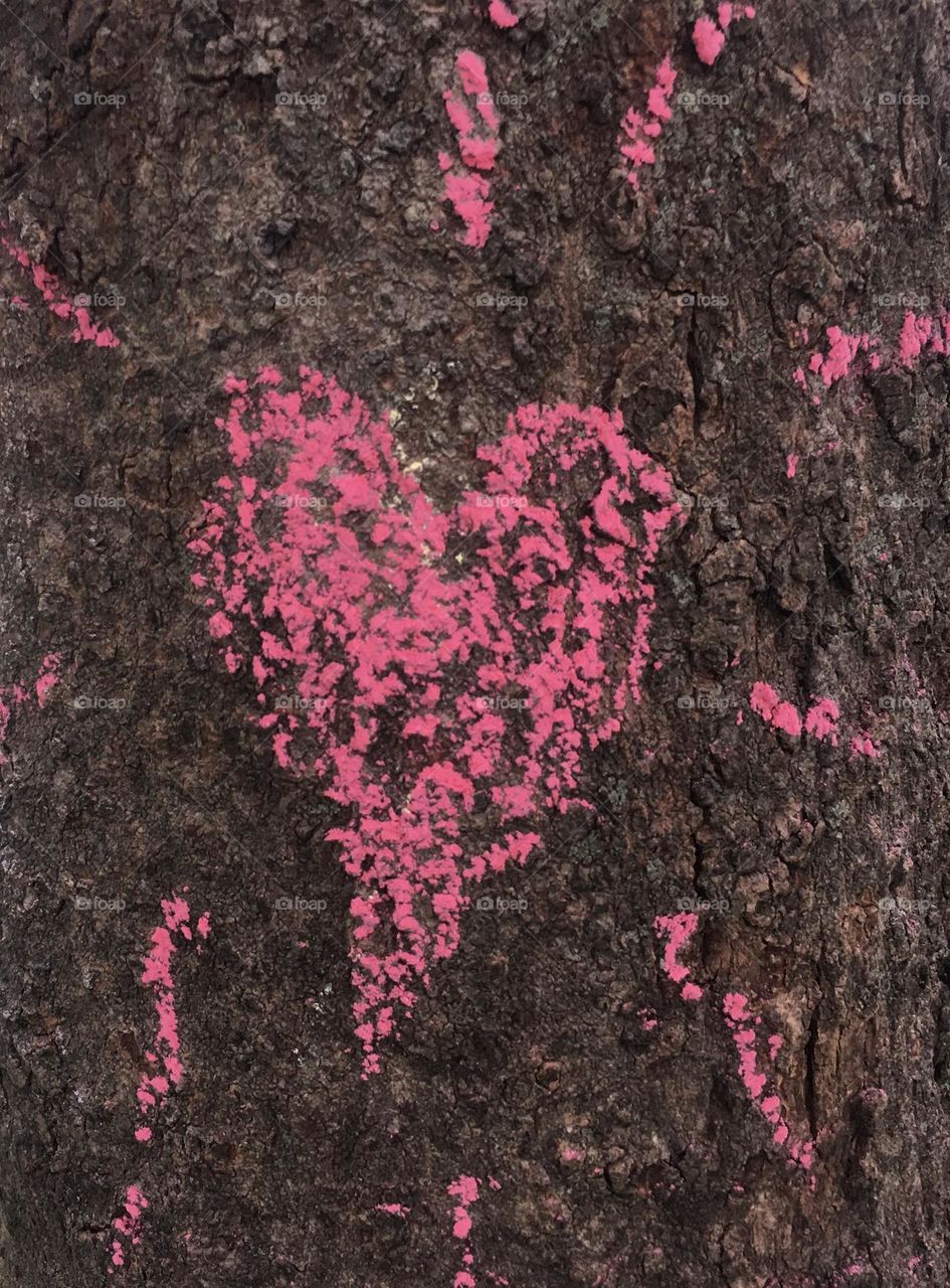 Love fiercely. Magenta coloured heart drawn on a tree