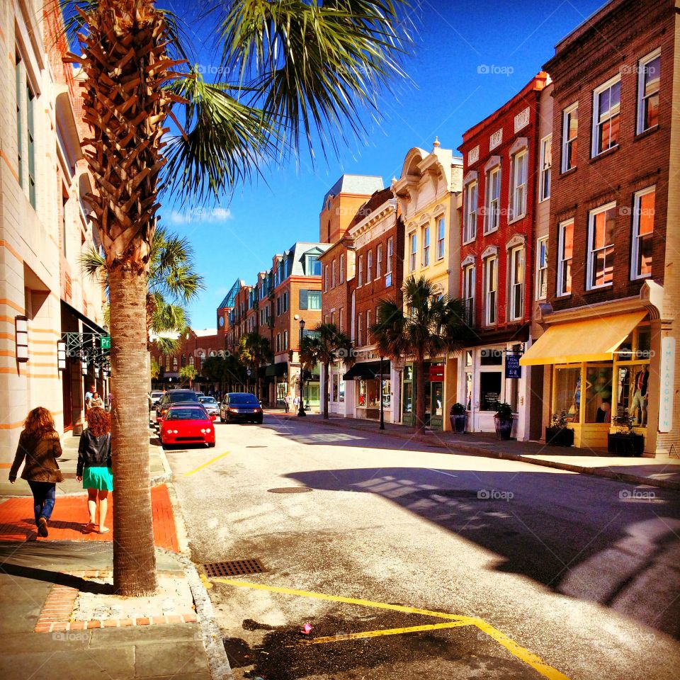 Charleston Beauty. Walking around Charleston, I saw this street and thought it looked amazing.