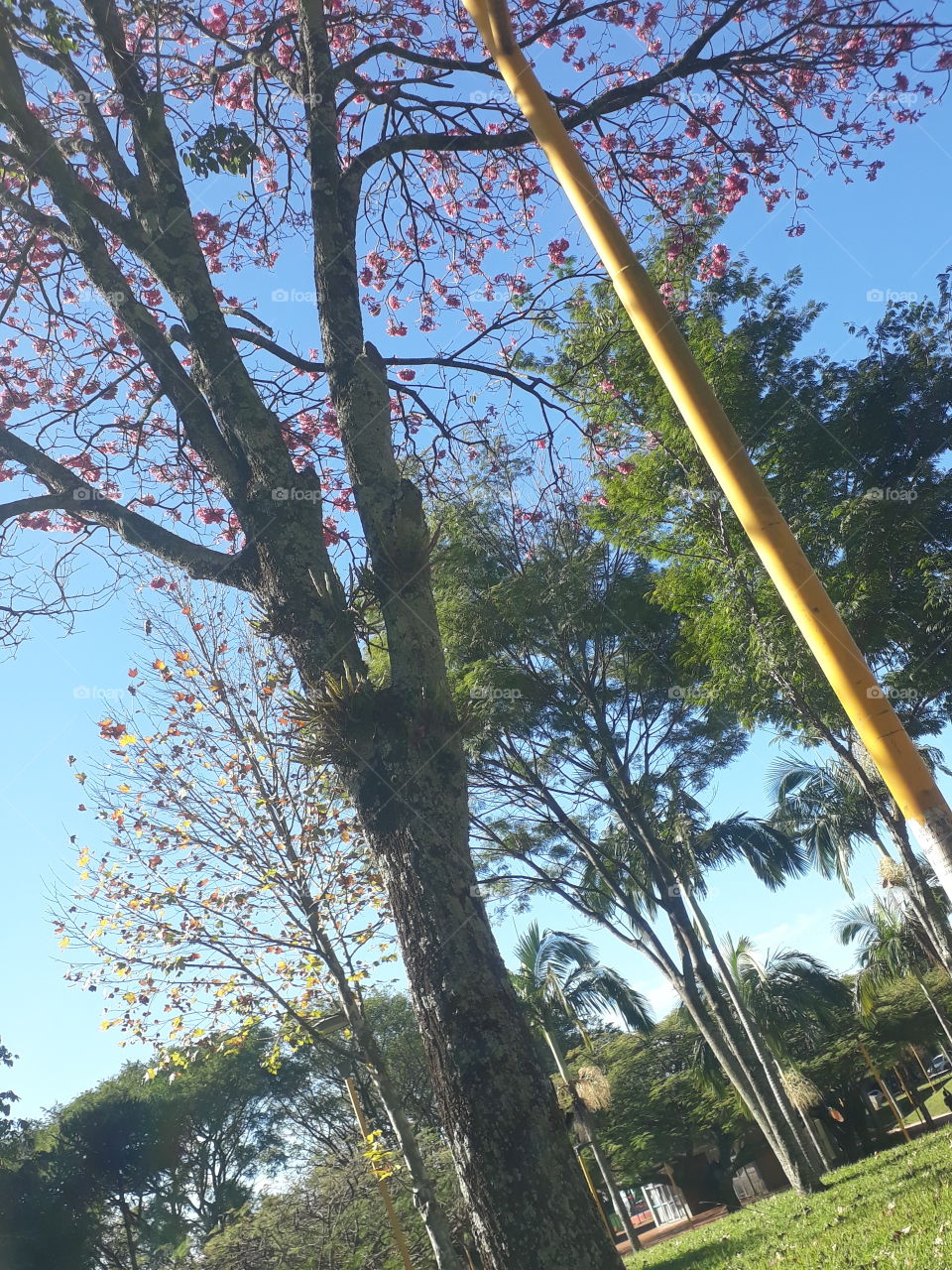 uma tarde em Cafelândia, Paraná Brasil