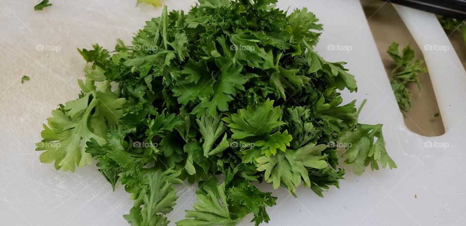 parsley