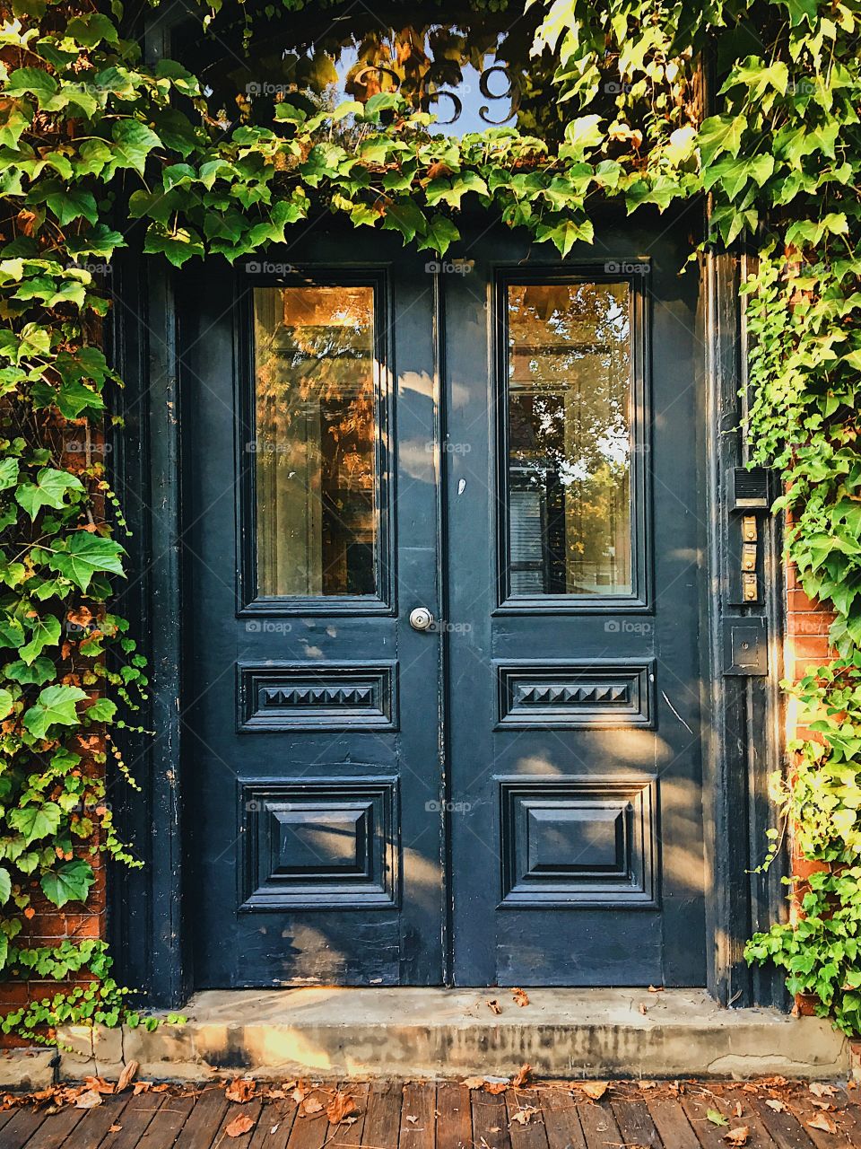 Gorgeous Ivy Doorway in Cambridge
