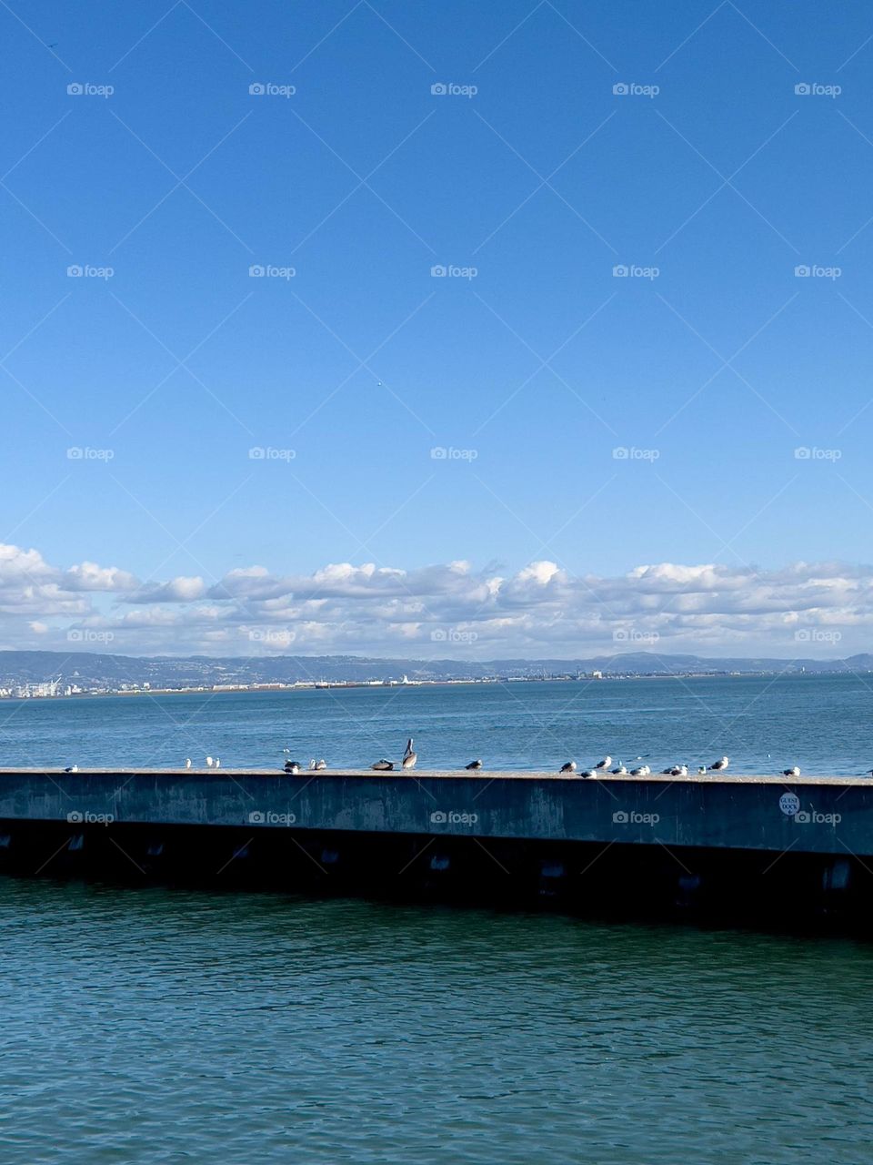 The photo of the week: amazing view in San Francisco 