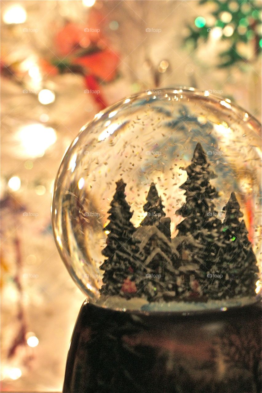 Snowy snow globe 