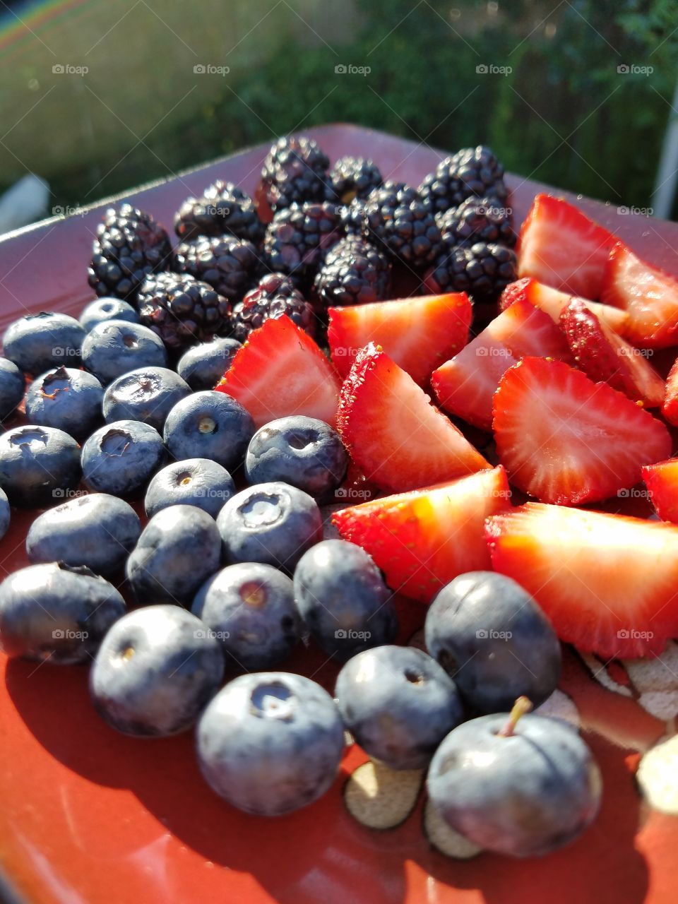morning berries