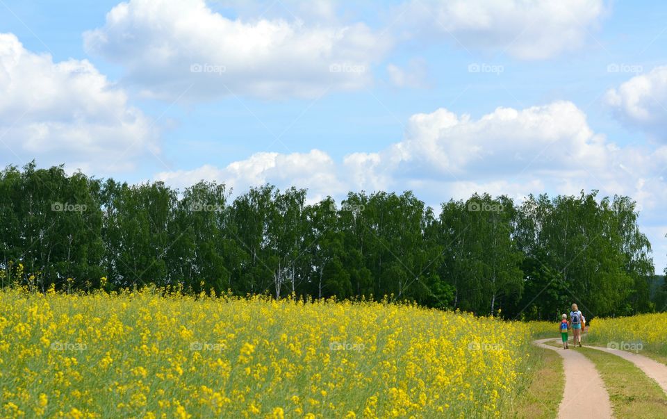 Landscape, Nature, Outdoors, No Person, Flower