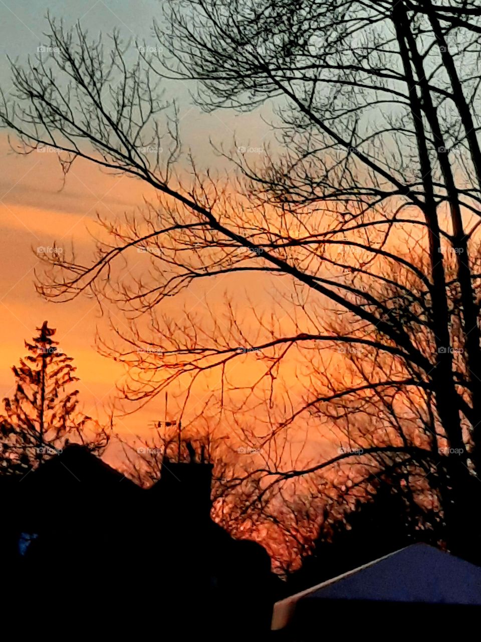 orange sunset  colouring sky  with black silhouettes of trees and buildings