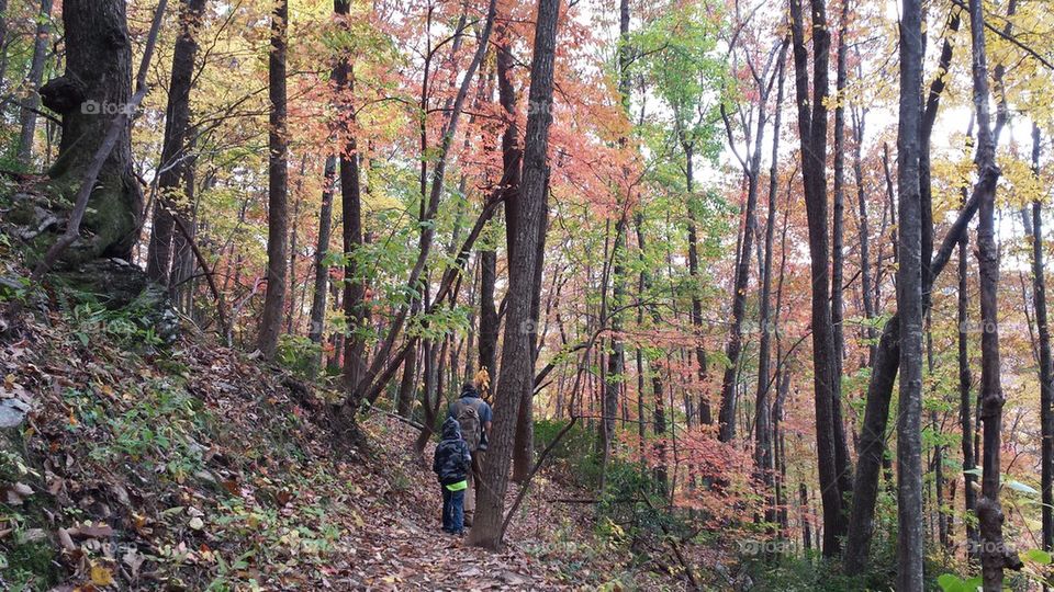 Rainbow Falls Trail