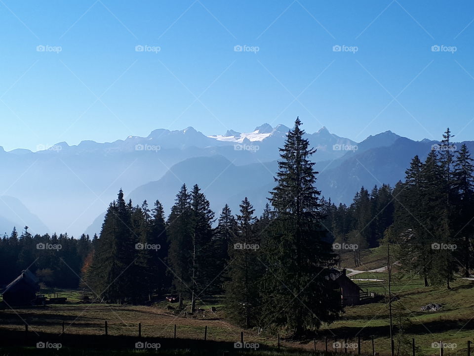 Roßmoosalm Bad Goisern