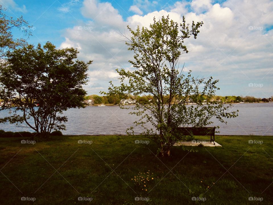 New York, Long Island, Nature, tree, plants, outdoors, calm, relax, shades, colors, Clouds, bench seat, water, lake, grass,