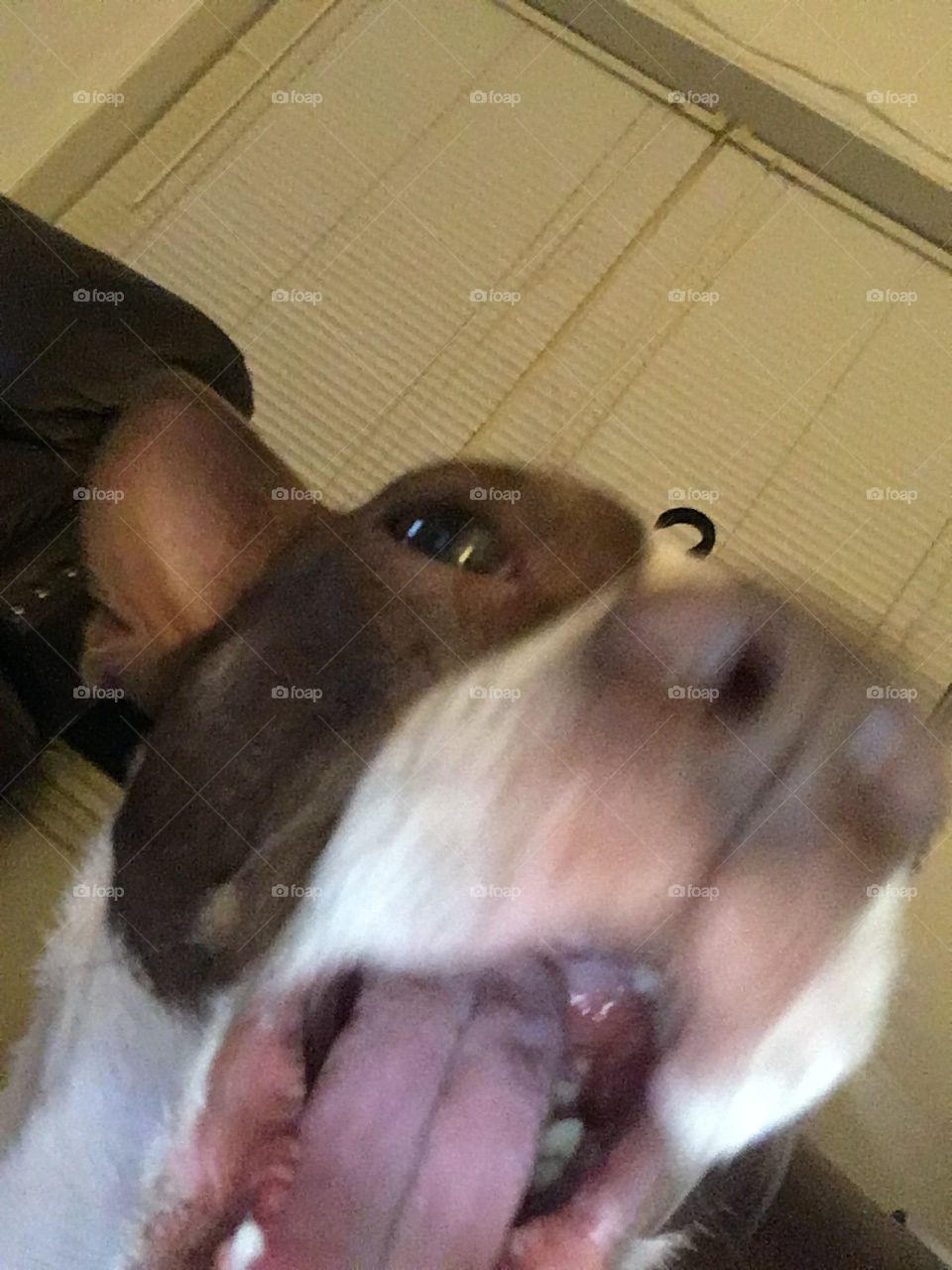 Hahaha aren’t I so cute my first selfie! I just want to eat you up or maybe just kisses.