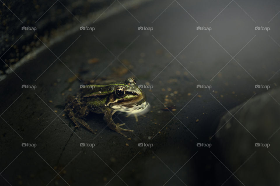 waiting for a Prince