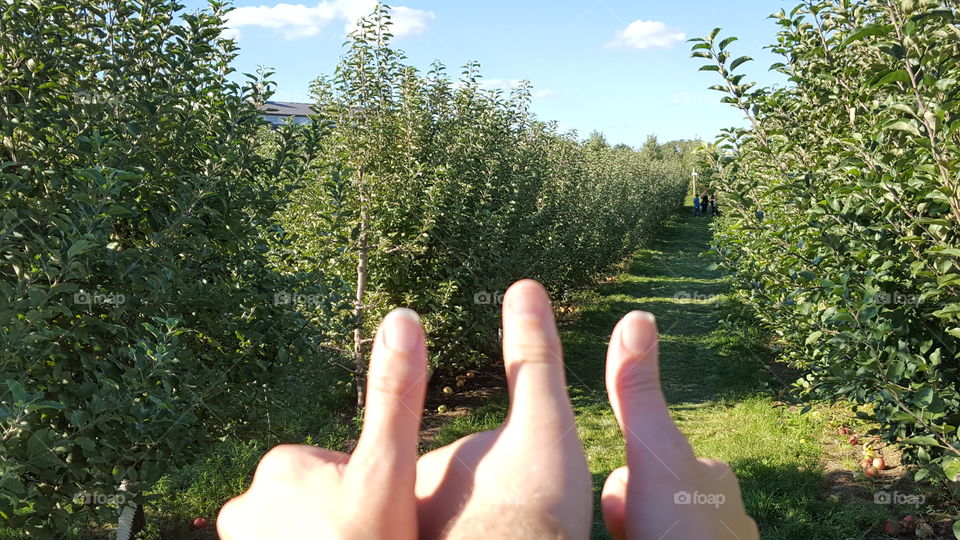 Thumbs up for apple orchard