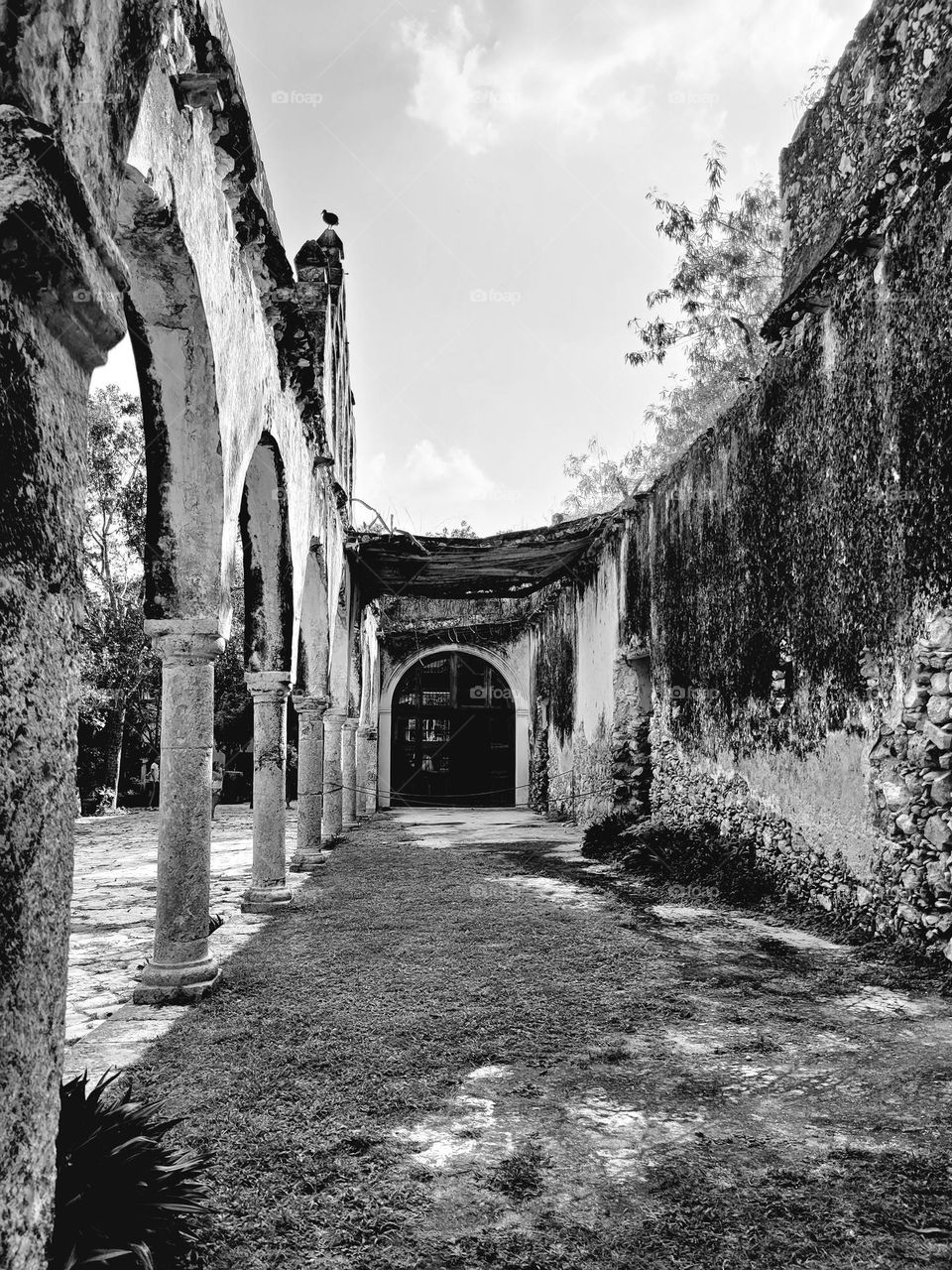 arquitectura en blanco y negro, ruinas mexicanas