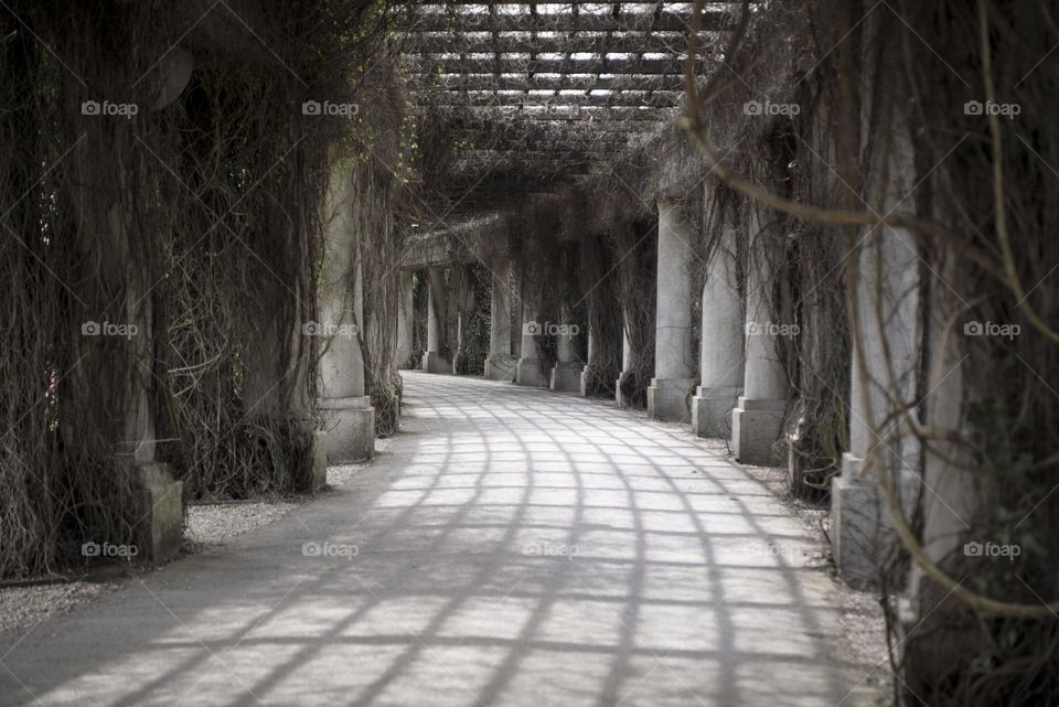 Ancient architecture in Wroclaw, Poland