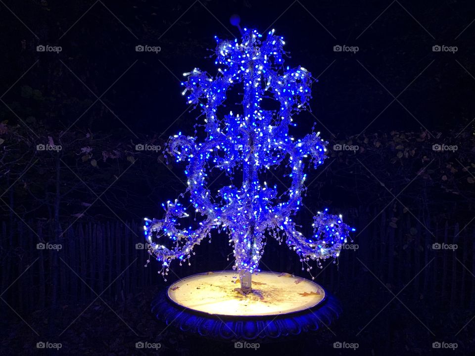 Blue tree