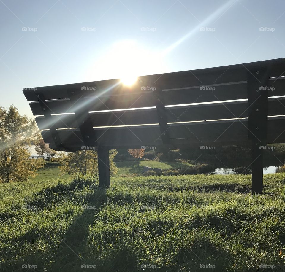 Sun shining through a park bench
