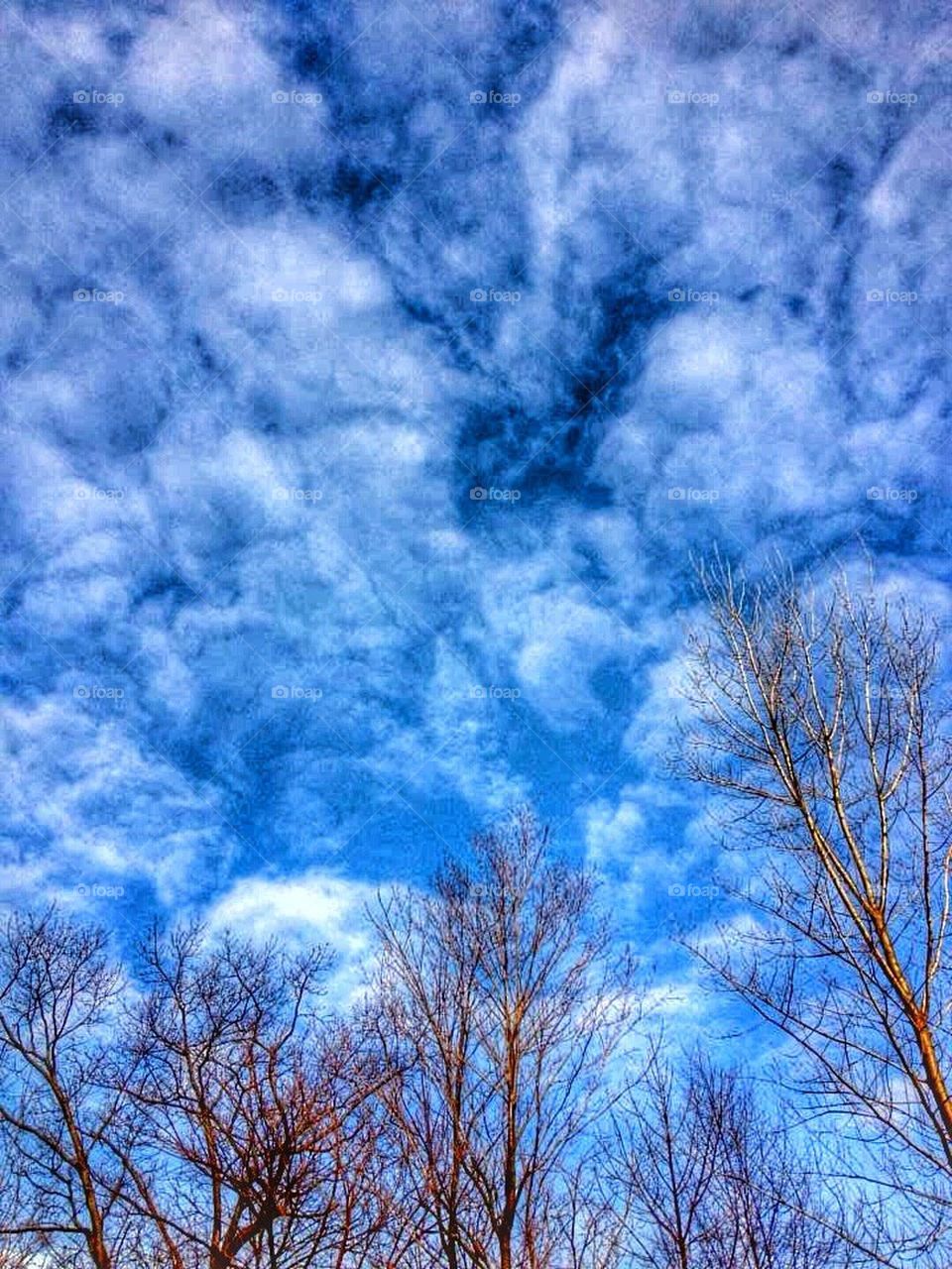 Spring is in the air!