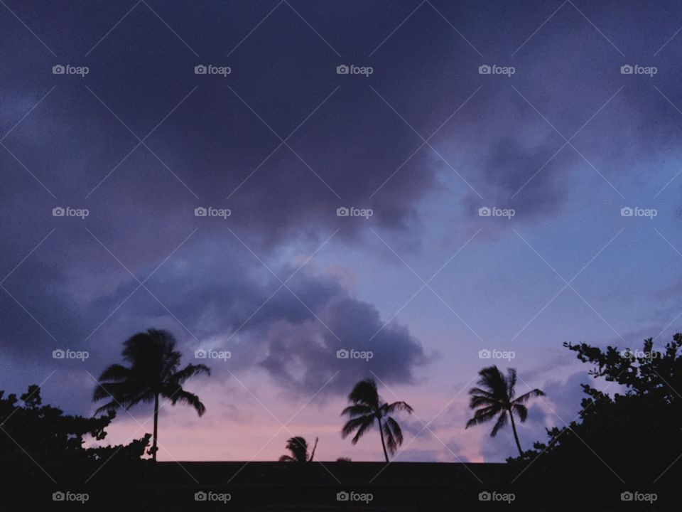 Purple sunset over palm trees silhouetted in tropical Hawaii. 