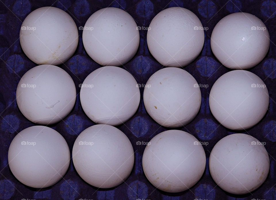 eggs