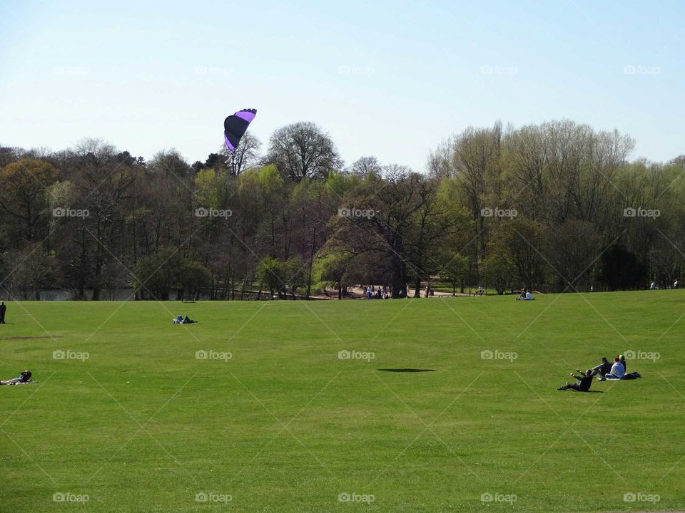 landscape of family leisure activities