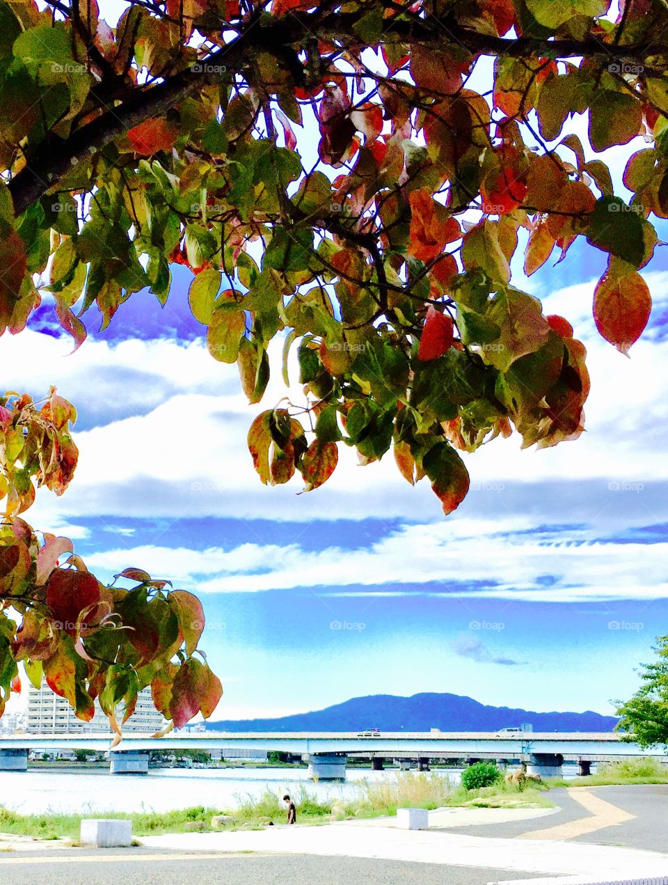 beautiful autumn afternoon