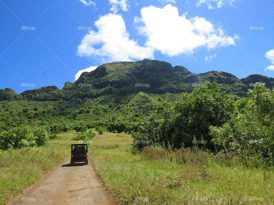 Kauai ranch 