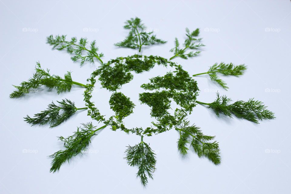 Planet Earth made of fennel ( dill) . Concept of reforestation and the health of the Planet