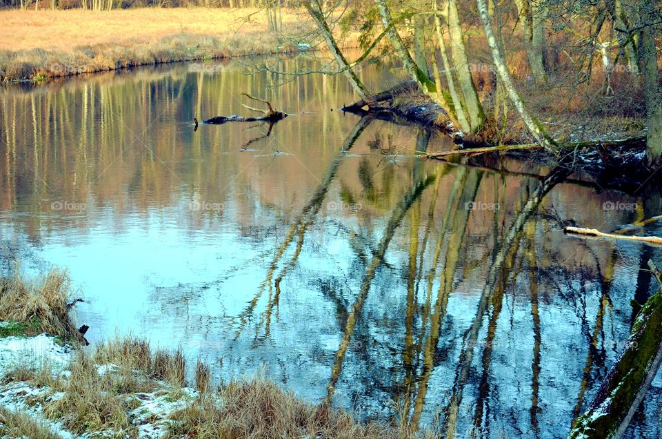 Water reflections on the river